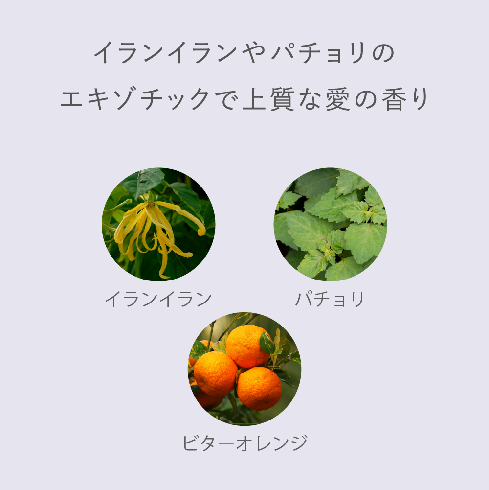 ヘアオイル美容液 アマン – ジョンアンドマリーオーガニック